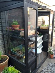 12x16 greenhouse photos?