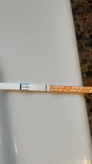 7dpo