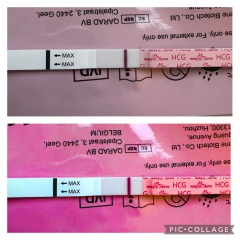 Two week wait ladies, you there?