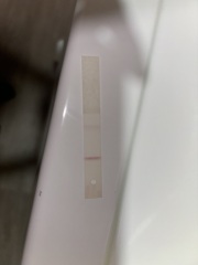 Thick pink line, evap?