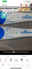 Clear blue test. Evap line or positive