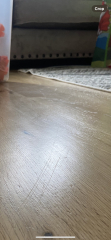 Oak hardwood flooring a mess 6 months after being sanded