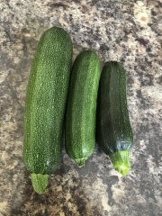 The Vegetable Patch 2024/2025