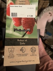 Raspberry help