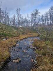 The Autumnal Christmas Chronicles Preamble thread