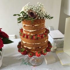 Cake recipe help