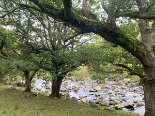 Come and tell me your dull and unexciting news 31: Calmly through the day