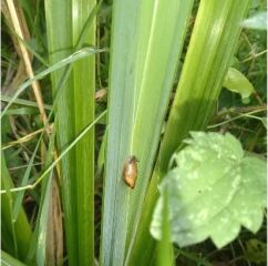 Thread 14 - TalkLair: “What The Hell Are We Supposed To Use, Man? Harsh Language?”