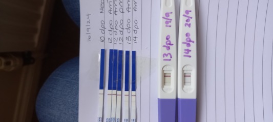 Ovulated 14 days after surgical miscarriage and now in the tww