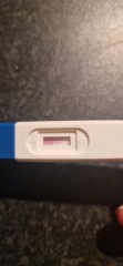 Positive pregnancy test but negative Clear Blue Digital?