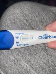 Clear blue test. Evap line or positive