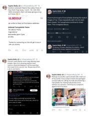 Sparkles vs Councilor Laurie Burton