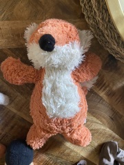 Have YOU seen Foxy?