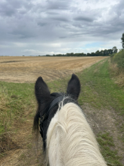 Adult new or returning riders part 2