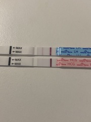 Two week wait ladies, you there?