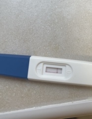 Am I pregnant ?