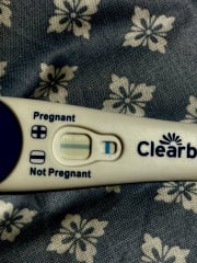 Pregnant or not ? Clear blue