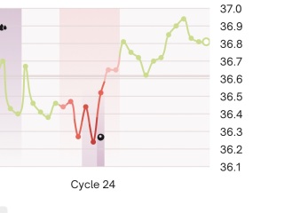 14 DPO and BFN temp still high