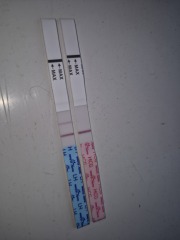 Early Tester... cruel evap?