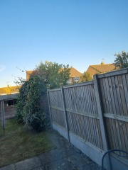 Lack of Privacy in Garden.