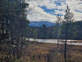 The Autumnal Christmas Chronicles Preamble thread