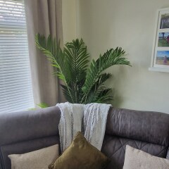 What furniture do you have in your living room?