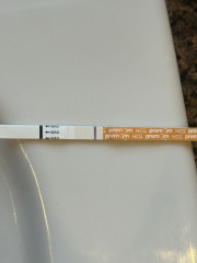 7dpo