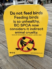 Come and tell me your dull and unexciting news 31: Calmly through the day