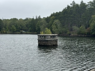 Come and tell me your dull and unexciting news 31: Calmly through the day