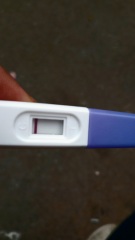 Early pregnancy test