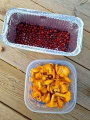 The Autumnal Christmas Chronicles Preamble thread