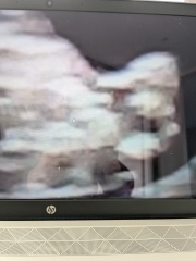 Gender of scan images