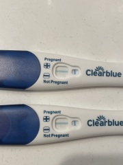 Pregnant or not ? Clear blue