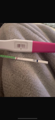TWW Fresh Embryo Transfer Symptoms