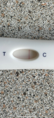 6dpo