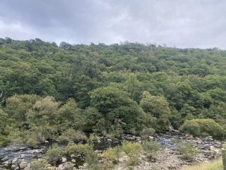 Come and tell me your dull and unexciting news 31: Calmly through the day