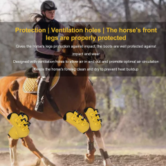 Tendon boots. Photoshop fail.