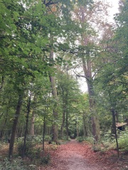 The Autumnal Christmas Chronicles Preamble thread