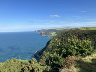 Bluestocking - the second leg