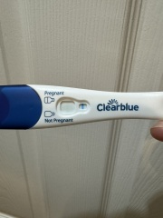 Pregnancy test
