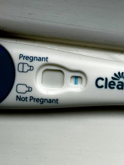 11dpo are these too faint?