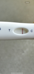 6dpo