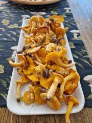 The Autumnal Christmas Chronicles Preamble thread