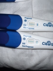 Clear blue evap/am I pregnant?