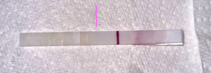 Clear blue evap line