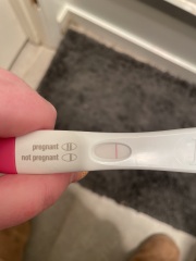 Pregnant or not ?