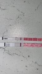 9DPO very faint lines?