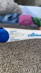Clear blue test. Evap line or positive