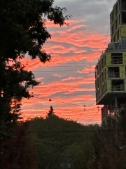 Come and tell me your dull and unexciting news 31: Calmly through the day