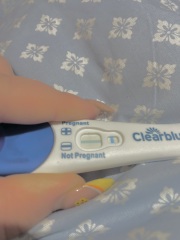 Pregnant or not ? Clear blue